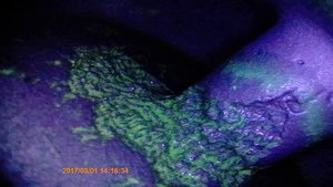 深圳杰泰JEET TU紫外熒光內(nèi)窺鏡 實拍效果